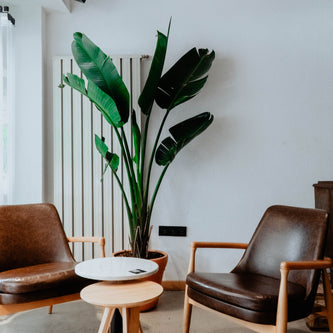 INDOOR FURNITURES